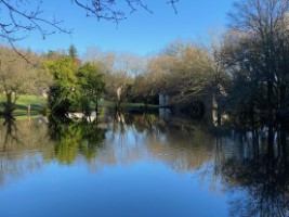 3 Maisons + Dépendances + 2 Etangs + 11 Hectares 56540 Saint-Tugdual